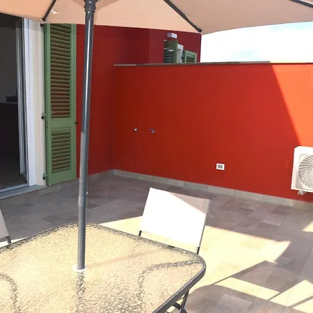 Rondine Di Mare Fiumaretta di Ameglia