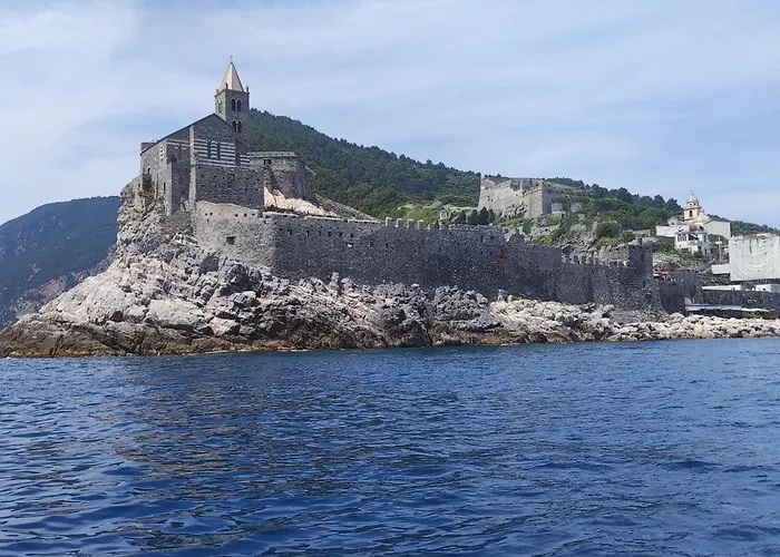 Rondine Di Mare